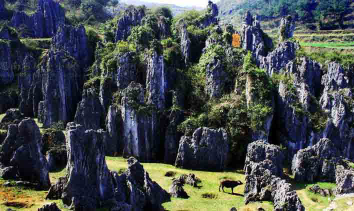 銅仁最美的10大景區：除了梵凈山之外，還有哪里值得一去？
